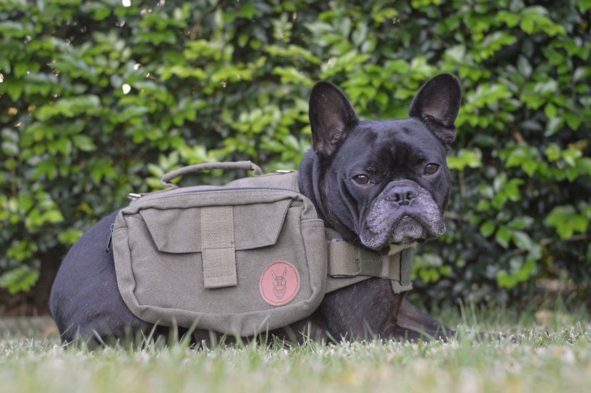 Patrol Pack | Dog backpack