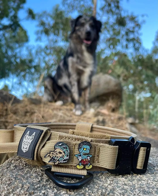 1.5" COYOTE TAN TACTICAL COLLAR |Dog chain collar