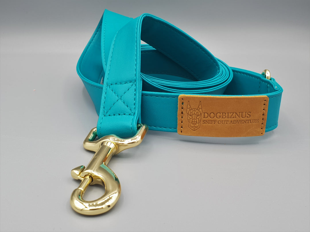 Sunday Best Teal Leash