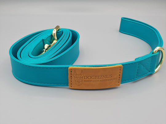 Sunday Best Teal Leash