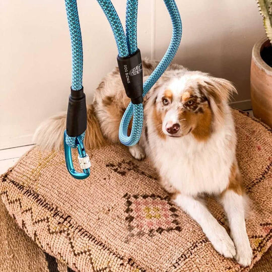 Arctic Ice Rock Climbing Rope Dog Leash
