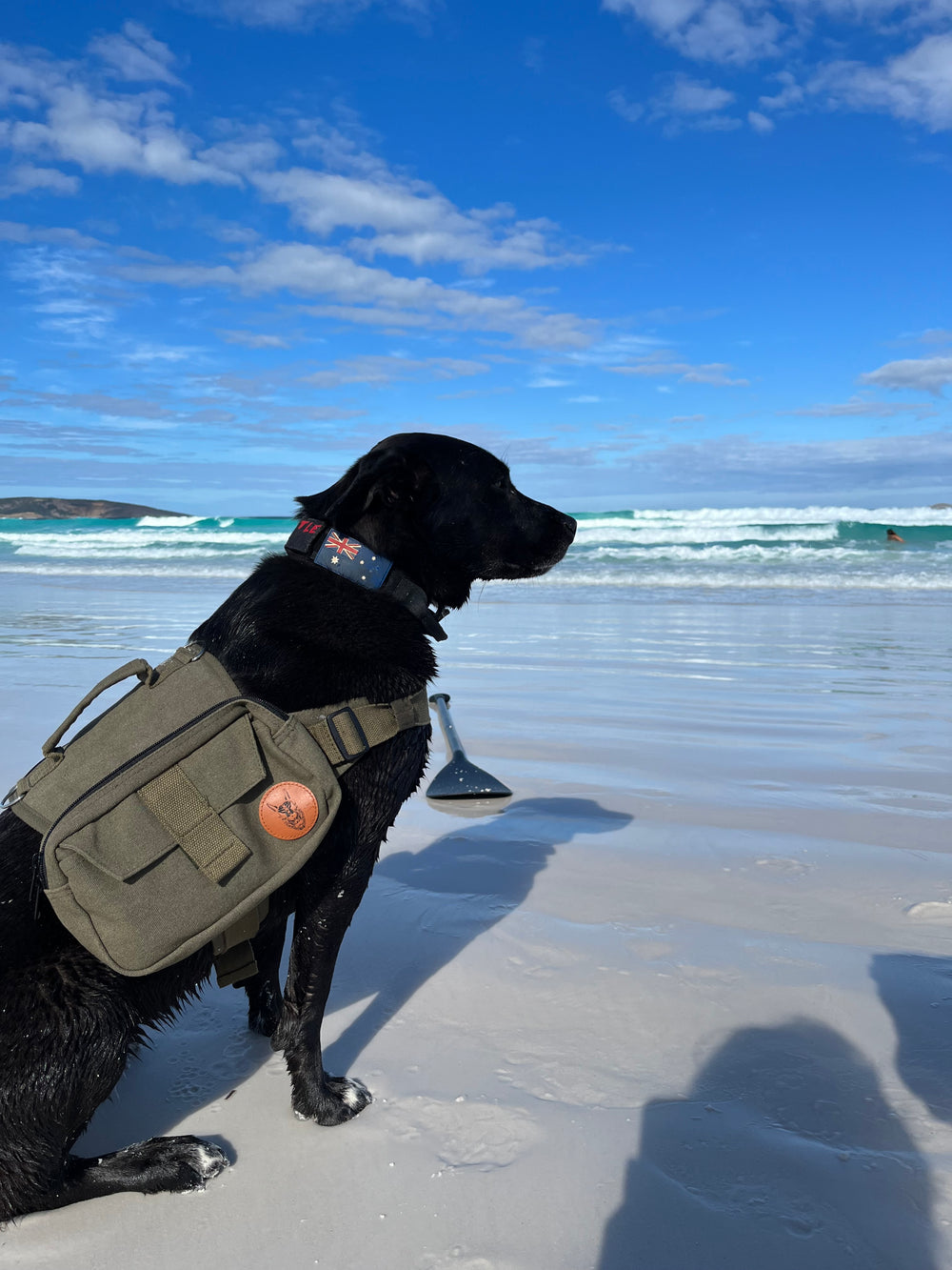 Patrol Pack | Dog backpack