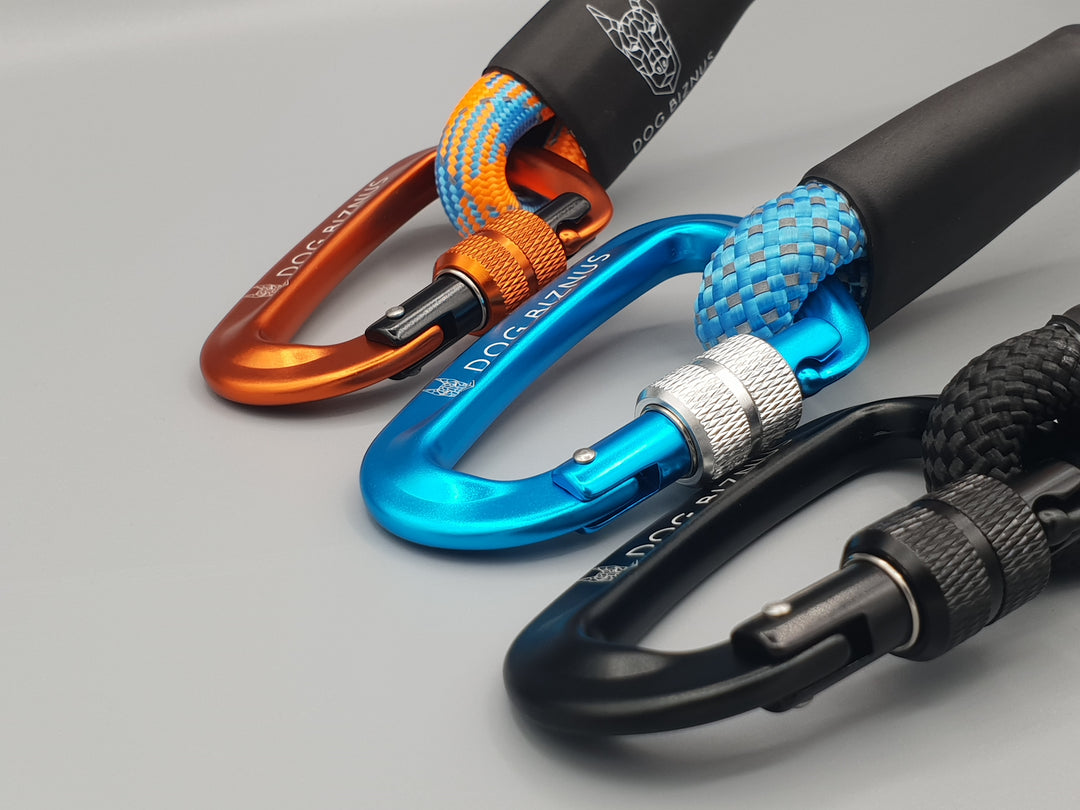 Caribbean Sea  Rock Climbing Dog Leash