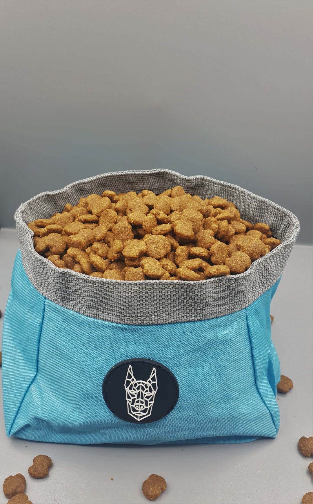 Collapsible Dog Bowl