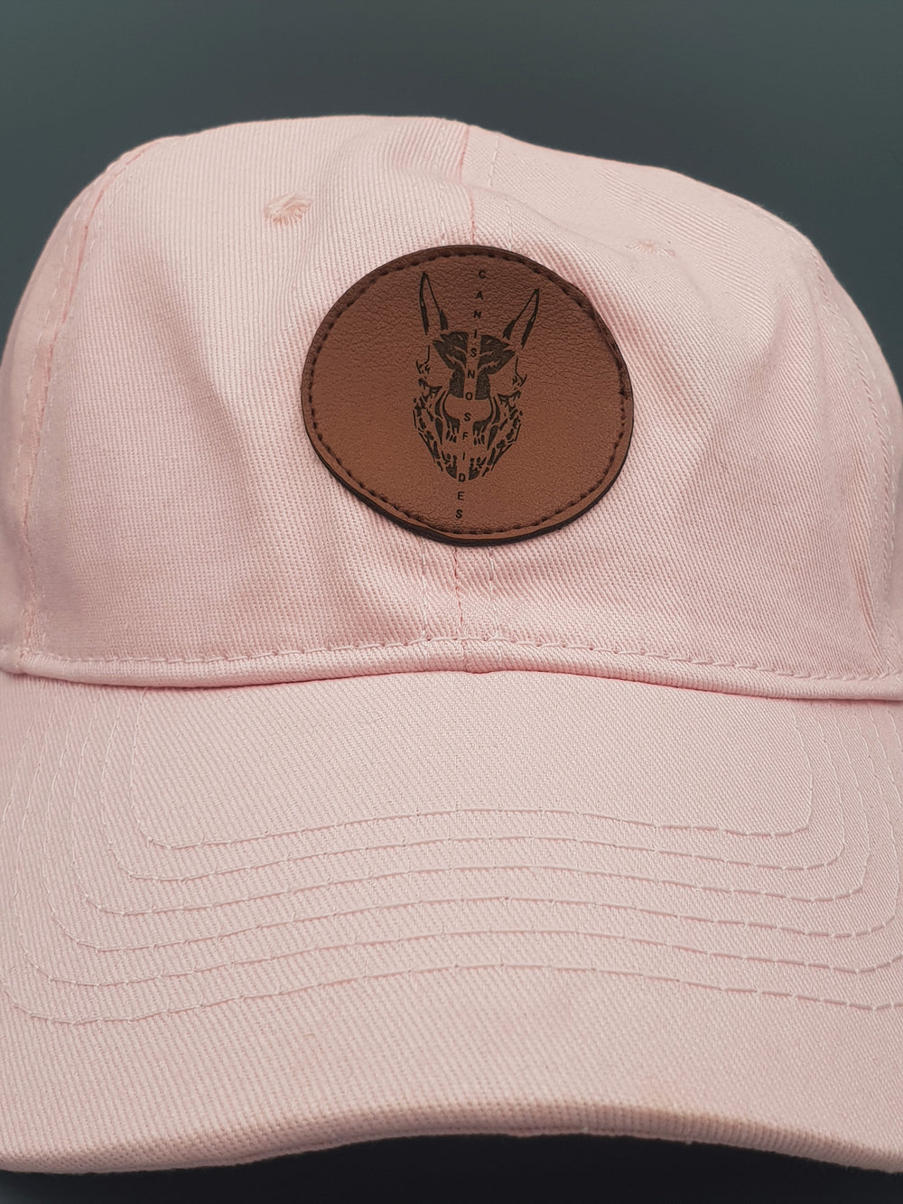 Dad Hat In Dogs We Trust logo