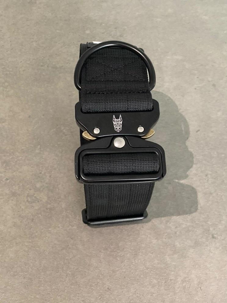 pure black dog collars