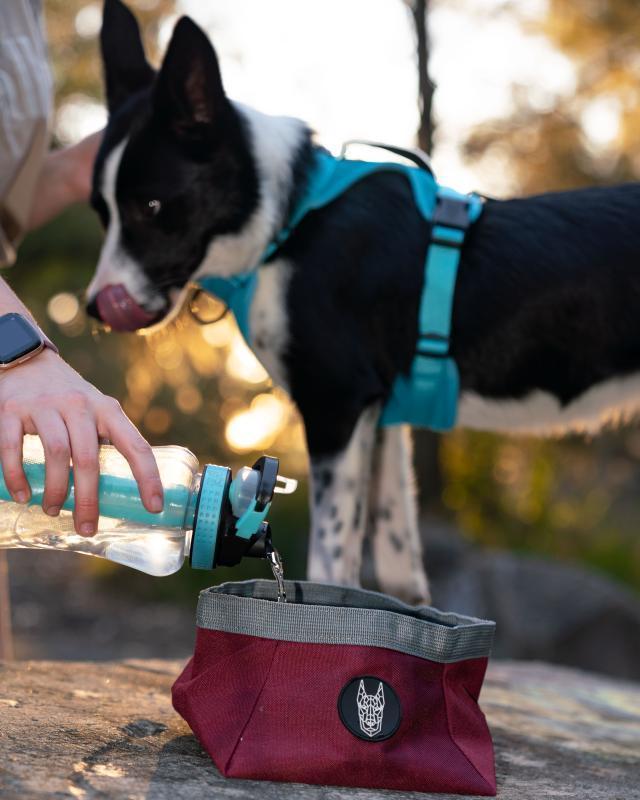 All In One No Pull Harness for Dogs