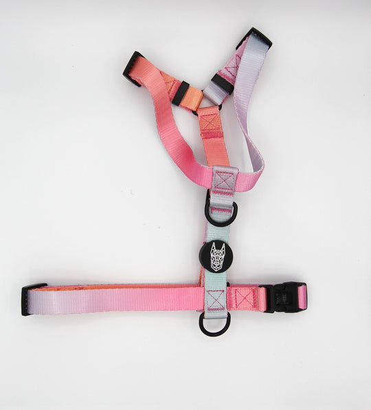 Summer Sunset Harness