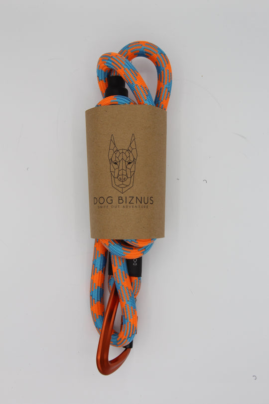 Caribbean Sea  Rock Climbing Dog Leash