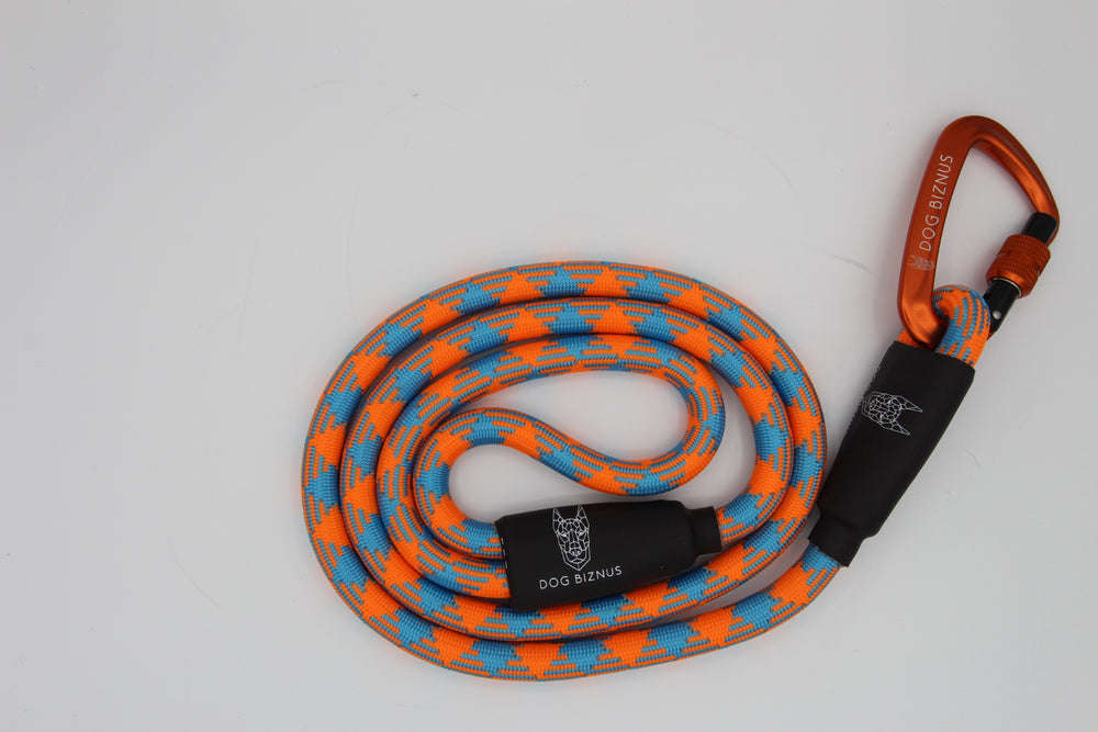 Caribbean Sea  Rock Climbing Dog Leash