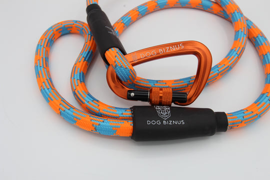 Caribbean Sea  Rock Climbing Dog Leash