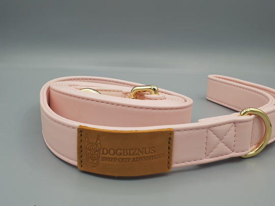 Sunday Best Pink Leash
