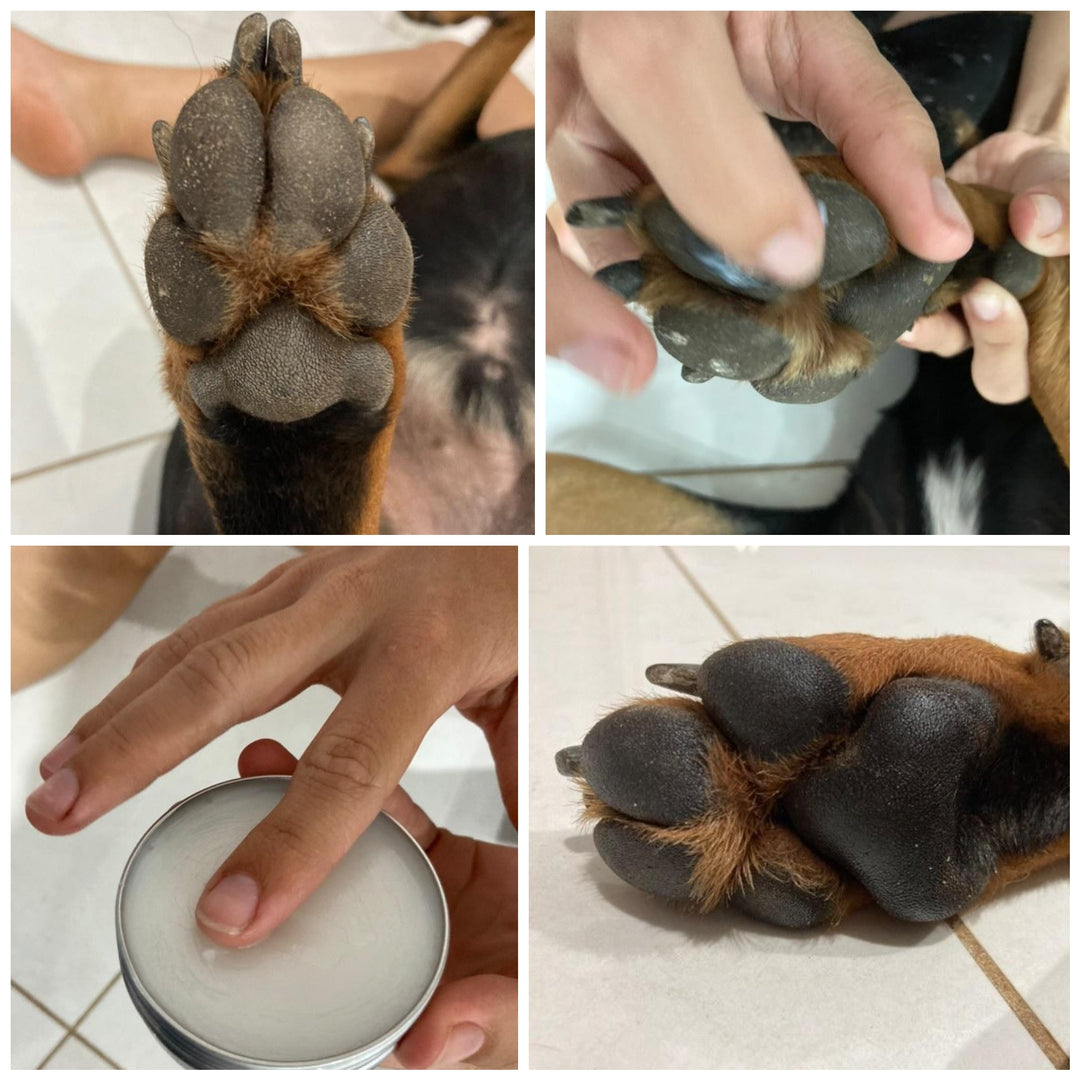 Paw Balm