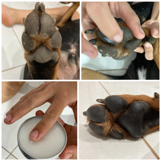 Paw Balm