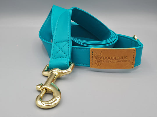 Sunday Best Teal Leash