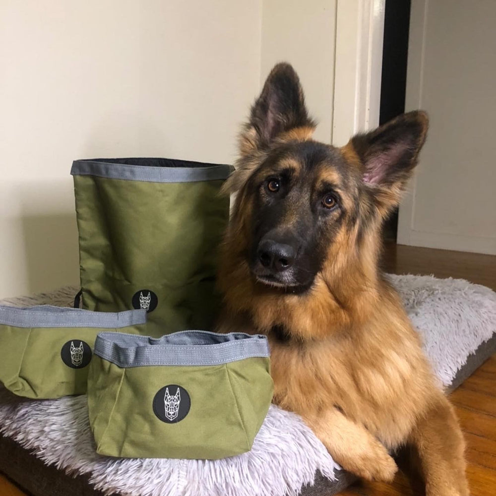 Doggo Travel Pack