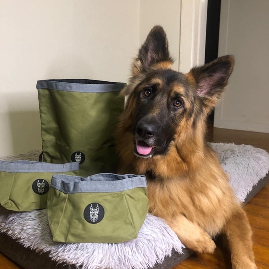 Doggo Travel Bag