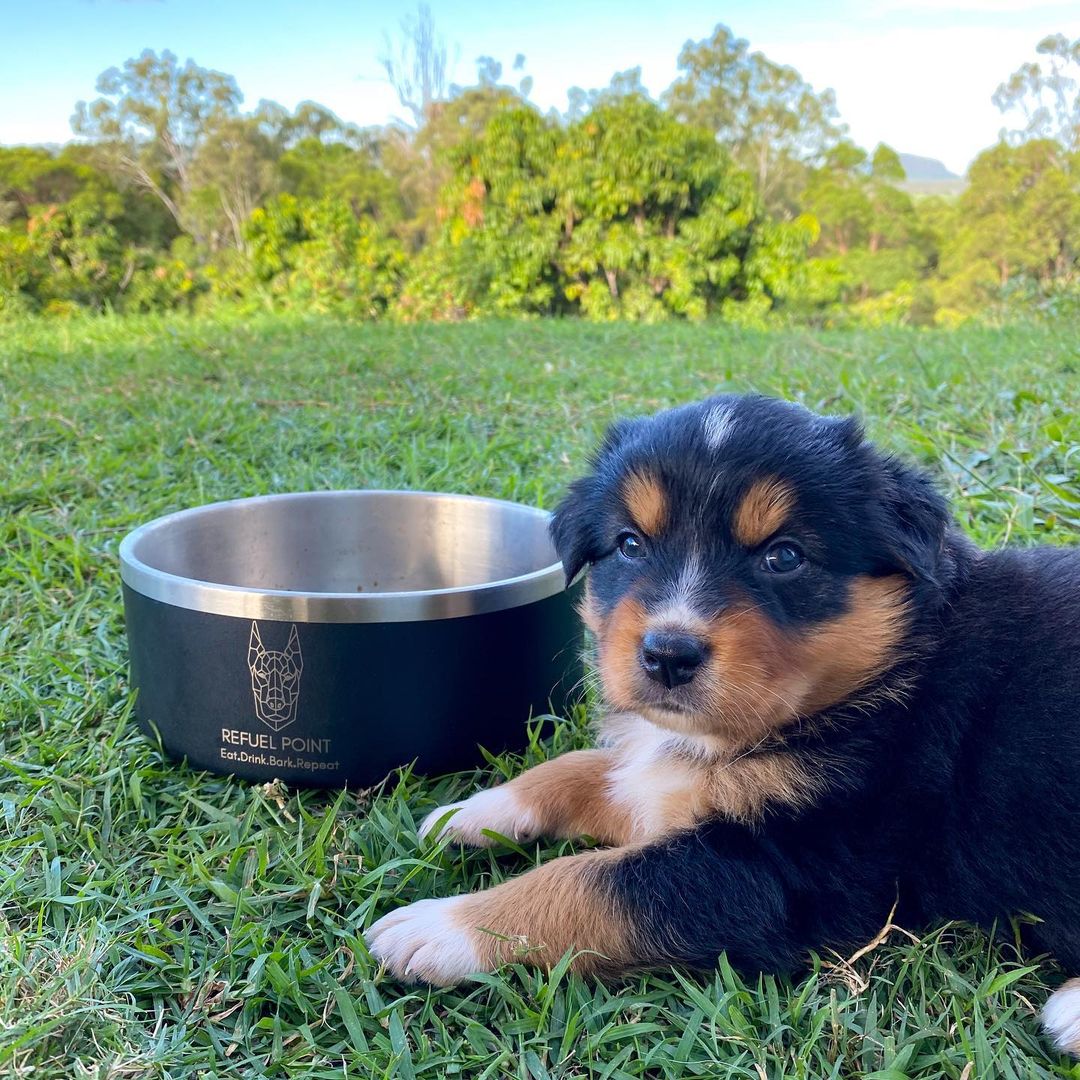 Stainless Steel Refuel Point Bowl